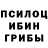 Галлюциногенные грибы Cubensis Shelysh